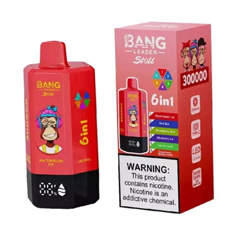 BANG LEADER Stoll 6in1 300000 Puffs factory