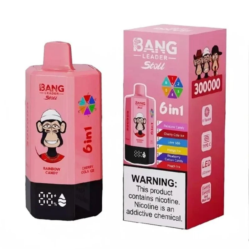 BANG LEADER Stoll 6in1 300000 Puffs suppliers